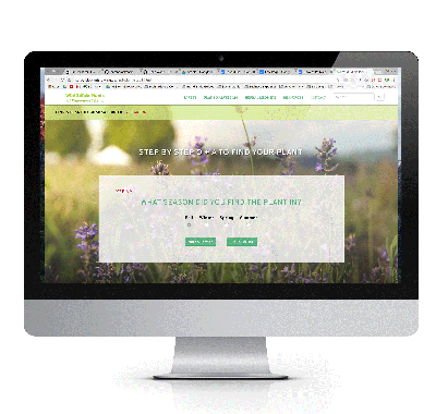 User interface / user experience website project by North Island College Interactive Media alumni Brittany King